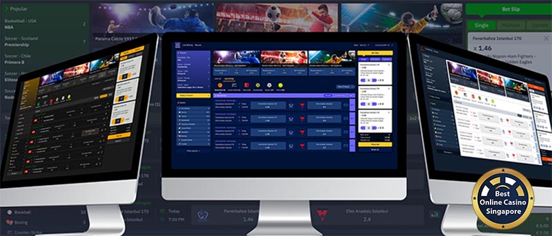 Online sport betting sofware provides